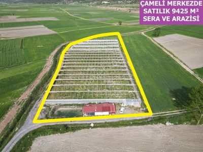 Arsa-Tarla