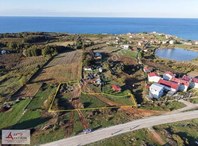 Arsa-Tarla