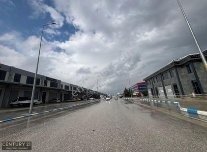 İşyeri-Dükkan & Mağaza