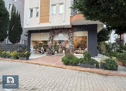 İşyeri-Dükkan & Mağaza