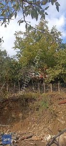 Arsa-Depo, Antrepo İzinli