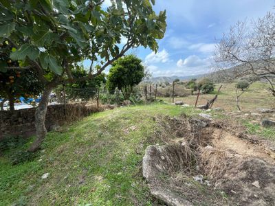 Konut-Köy Evi