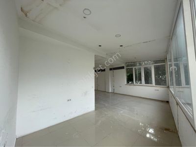 İşyeri-Dükkan & Mağaza