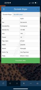 Arsa-Zeytinlik