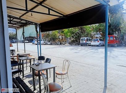 İşyeri-Dükkan & Mağaza