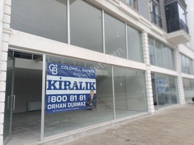 İşyeri-Dükkan & Mağaza