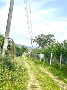 Arsa-Zeytinlik