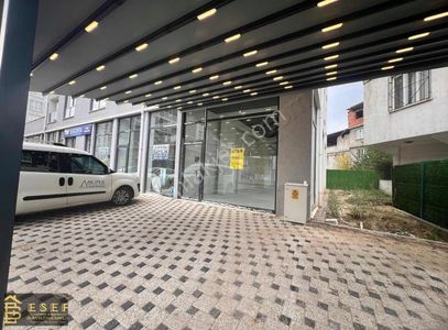 İşyeri-Dükkan & Mağaza