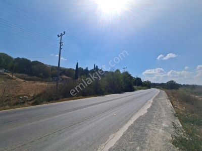 Arsa-Tarla