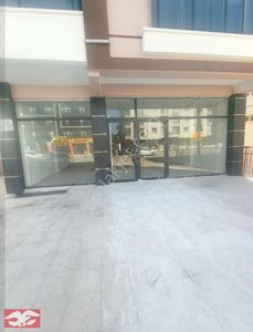 İşyeri-Dükkan & Mağaza