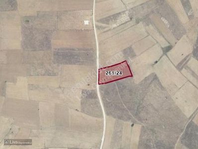 Arsa-Tarla