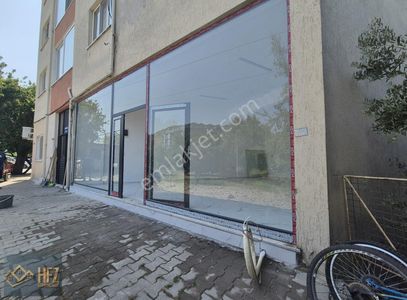 İşyeri-Dükkan & Mağaza