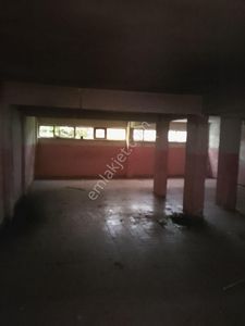 İşyeri-Dükkan & Mağaza