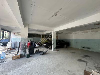 İşyeri-Dükkan & Mağaza