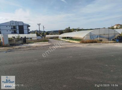 Arsa-Toplu Konut İçin