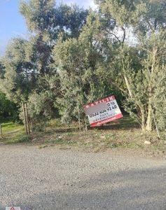 Arsa-Tarla