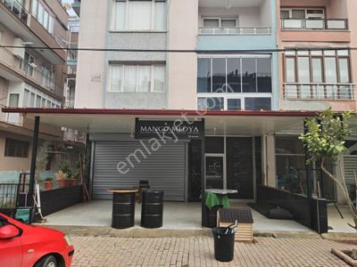 İşyeri-Müstakil İşyeri