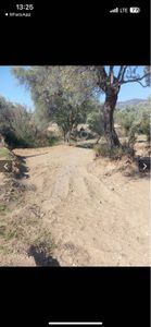 Arsa-Zeytinlik