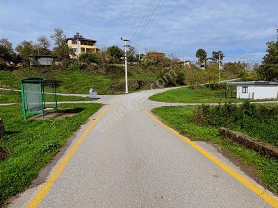 Arsa-Konut İmarlı