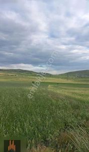 Arsa-Tarla