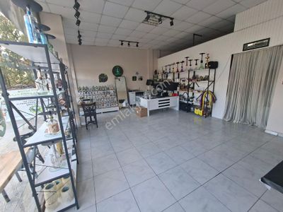 İşyeri-Dükkan & Mağaza