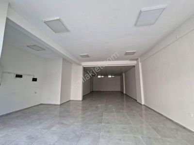 İşyeri-Dükkan & Mağaza