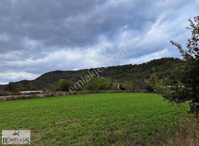 Arsa-Tarla