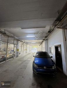 İşyeri-Dükkan & Mağaza