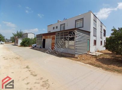 İşyeri-Dükkan & Mağaza