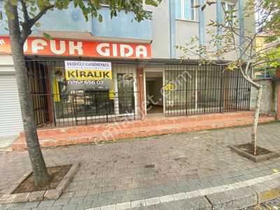 İşyeri-Dükkan & Mağaza