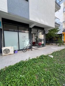 İşyeri-Dükkan & Mağaza