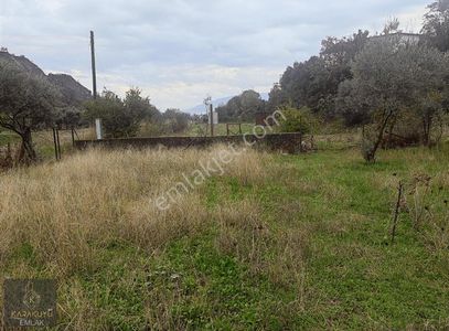 Arsa-Özel Kullanım