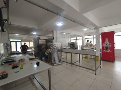 İşyeri-Dükkan & Mağaza