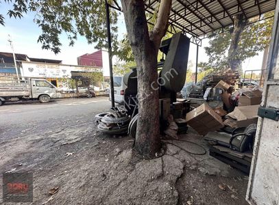 İşyeri-Dükkan & Mağaza