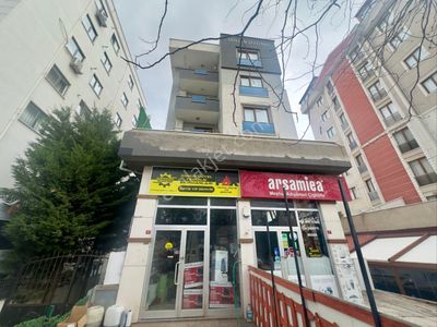 İşyeri-Dükkan & Mağaza