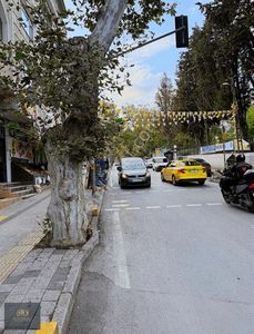 İşyeri-Dükkan & Mağaza