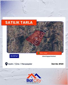 Arsa-Zeytinlik