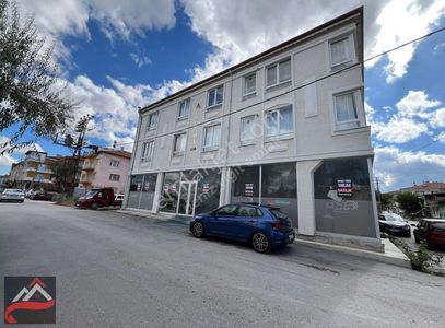 İşyeri-Dükkan & Mağaza