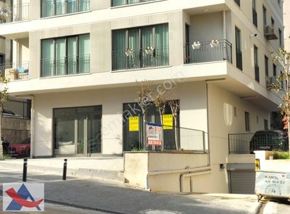 İşyeri-Dükkan & Mağaza