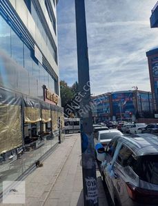 İşyeri-Plaza Katı