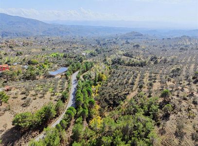 Arsa-Depo, Antrepo İzinli