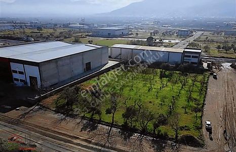 Arsa-Sanayi İmarlı