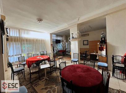 İşyeri-Dükkan & Mağaza