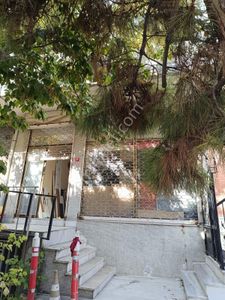 İşyeri-Dükkan & Mağaza