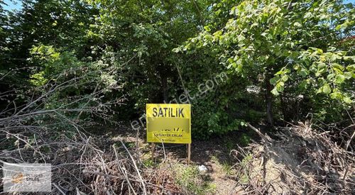 Arsa-Sanayi İmarlı