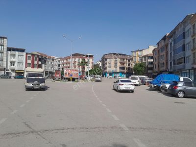 İşyeri-Dükkan & Mağaza