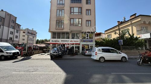 İşyeri-Dükkan & Mağaza