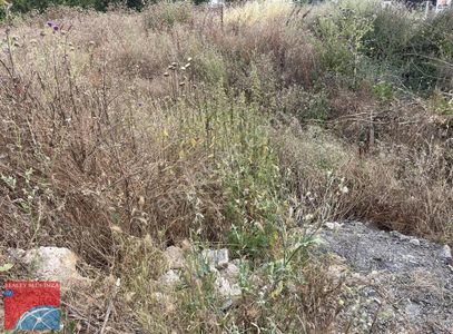 Arsa-Özel Kullanım