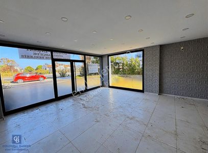 İşyeri-Dükkan & Mağaza