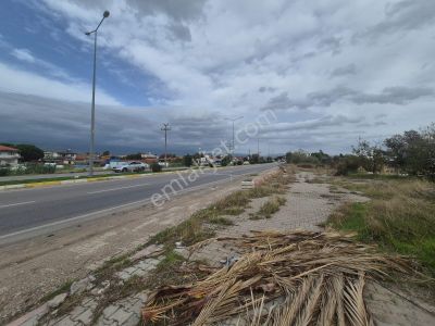 Arsa-Konut+Ticaret Alanı